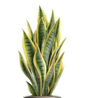 37.png