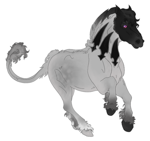 IMG 4905.png