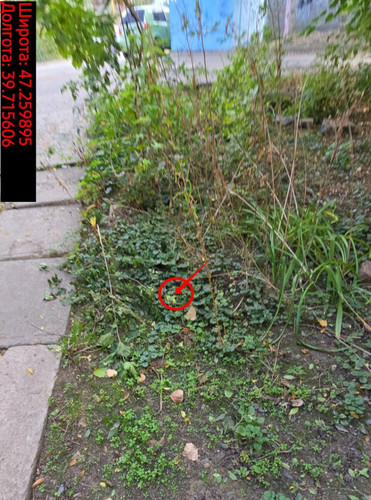 6acdffd8cb695.jpg