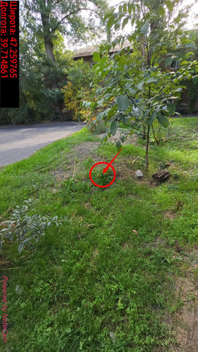 6acdff0433ef8.jpg