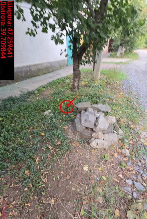 6ace028530e6b.jpg
