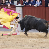 nWliIDX.th.jpg