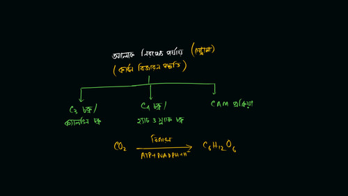tmplm72c83i.jpg