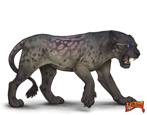 lioden wardrobe (3).png