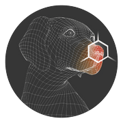 Playology logo