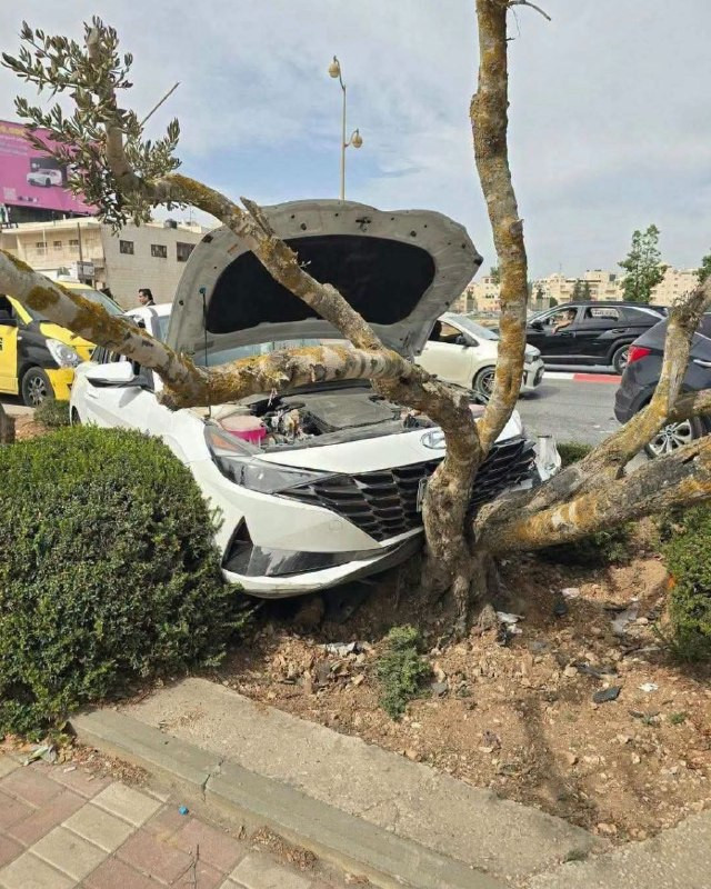 صورة الخبر