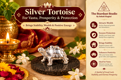 Buy Pure Silver Tortoise Online at Best Price | The Stardust Studio.2