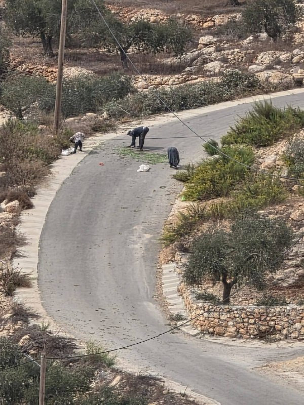 صورة الخبر
