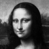 1000040213.gif
