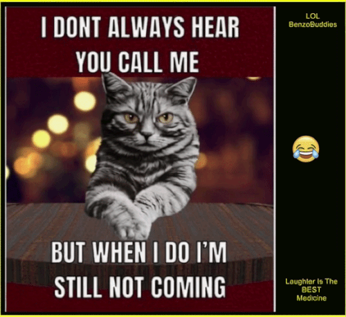 cgjN5rR.3