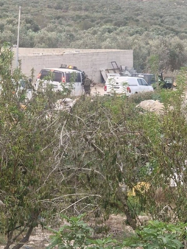 صورة الخبر