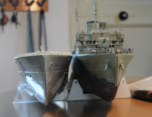 IMG 7293.jpg