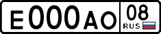 100095719a.2