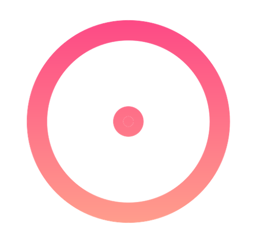 focus (4).2