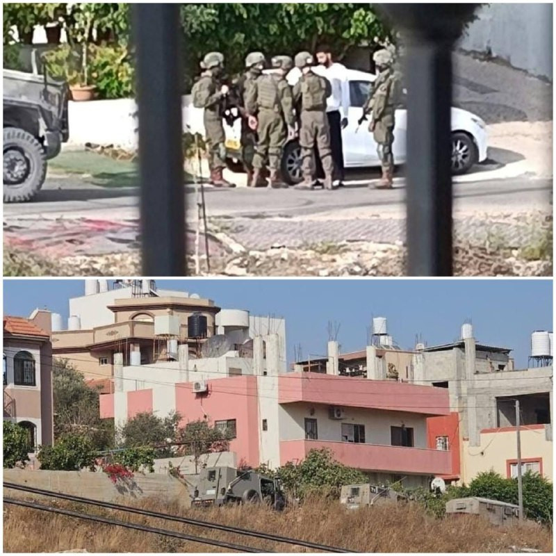 صورة الخبر