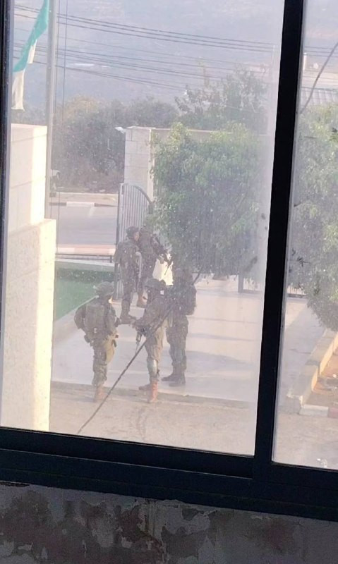 صورة الخبر