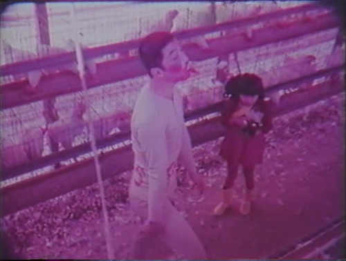 Pig Chicken Suicide (Tonkei Shinju ).avi 20260929 205818.524.png