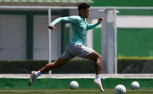 Palmeiras promove 5 jovens da base após 11 baixas na Data Fifa