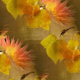 autsetbackground