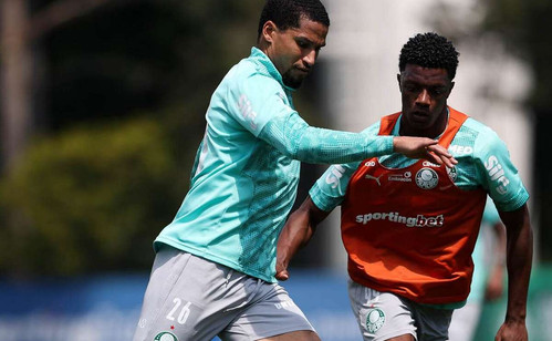 Murilo vê Palmeiras preparado para reta final nas três frentes