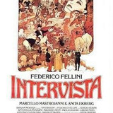 17 intervista