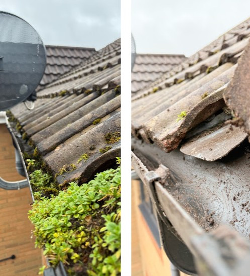 Best Service For Gutter Clearance in Patchway.jpg