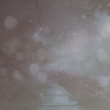 purpleroad