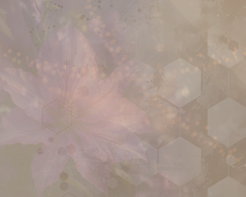 bokeh flower.png