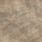 warmlettersandleaves
