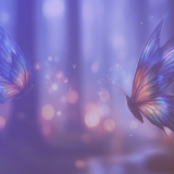 butterflies