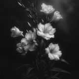 deb Beautiful white Oleanders natural lighting intricately de dd791d2b 13b7 49c8 b67e f987f38bc731 0
