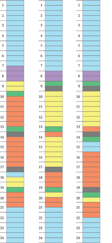 activity strips.png