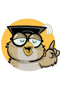 owl.jpg