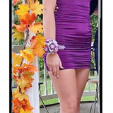 IMG 1000000005118.png
