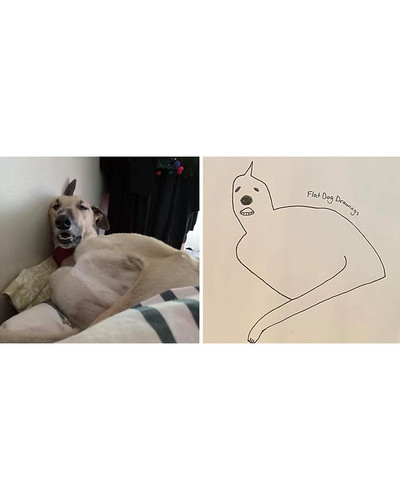 guy draws his dog badly doodles jay cartner 26 5d70b3e68a96f 700 bordered.jpg
