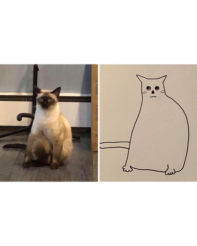 guy draws his dog badly doodles jay cartner 14 5d70b3d252c2d 700 bordered.jpg