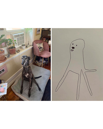 guy draws his dog badly doodles jay cartner 16 5d70b3d56d58b 700 bordered.jpg