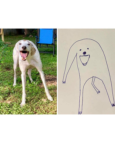 guy draws his dog badly doodles jay cartner 7 5d70b3c5d5a64 700 bordered.jpg