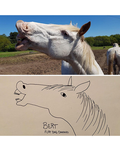 guy draws his dog badly doodles jay cartner 29 5d70b3ebac39a 700 bordered.jpg