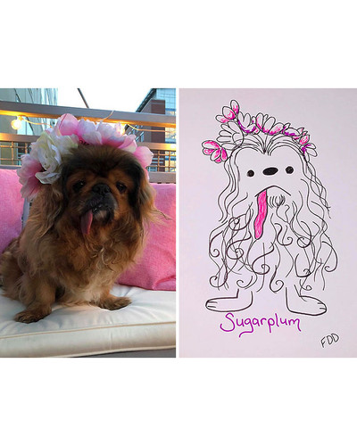 guy draws his dog badly doodles jay cartner 30 5d70b3ed501de 700 bordered.jpg