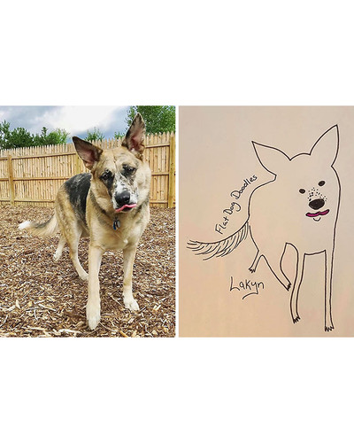guy draws his dog badly doodles jay cartner 28 5d70b3ea28b2b 700 bordered.jpg