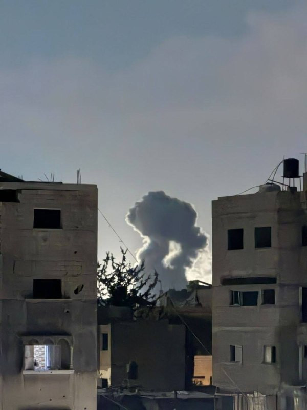 صورة الخبر