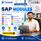 Build Your SAP Skills and Grow Your Career with Visualpath
