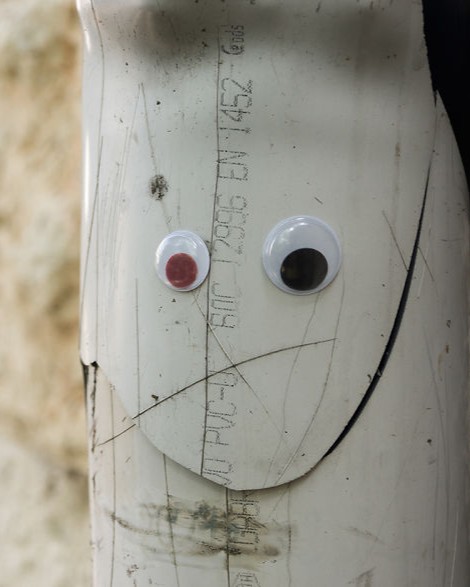 With two eyes in their hand they started to look for shapes And they found them 5b11521eba529 880.jpg