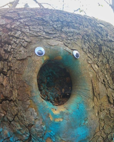 I Bring Bulgarian Streets To Life By Putting Googly Eyes On Random Objects New Pics 5aec068271919 jp.jpg