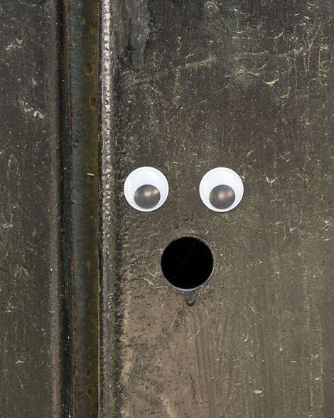 With two eyes in their hand they started to look for shapes And they found them 5b11523f16859 880.jpg