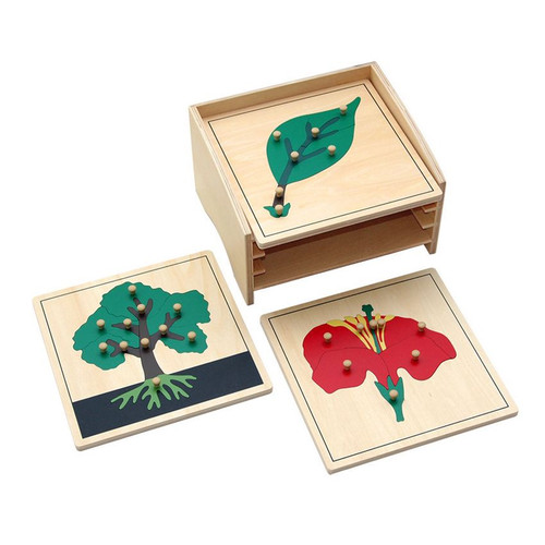 Montessori Botany Materials.jpg