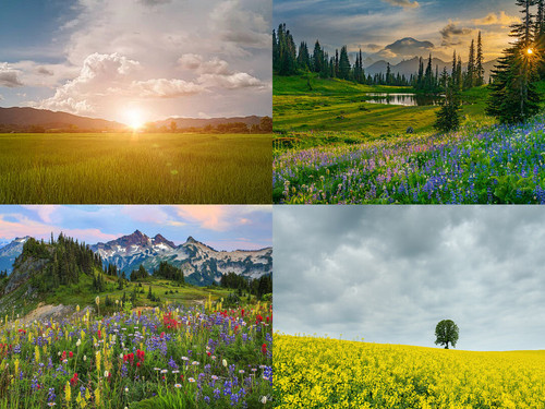 ' Glorified is The All-Mighty Creator '.jpg