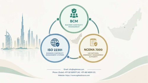 BCM consultants in UAE.jpg