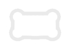 IMG 6850.png